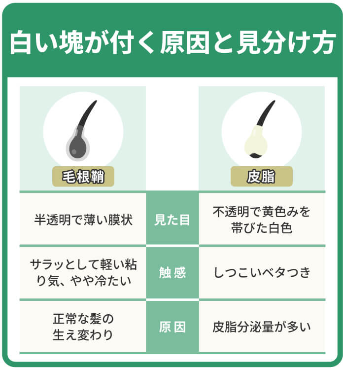 白い塊が付く原因と見分け方